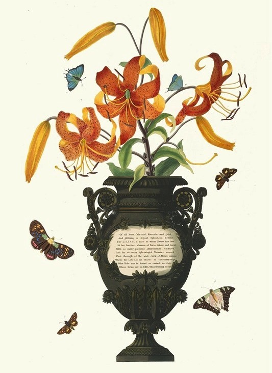 Anglická botanická umelkyňa Priscilla Susan Bury